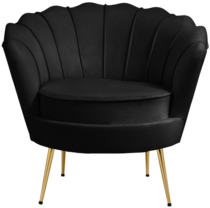 Gardenia Black Velvet Chair
