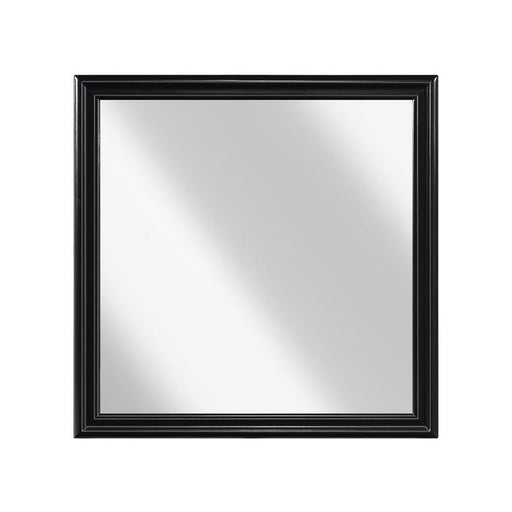 Homelegance Mayville Mirror in Black 2147BK-6 image