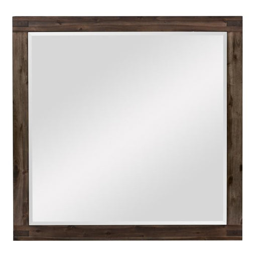 Homelegance Parnell Mirror in Rustic Cherry 1648-6 image